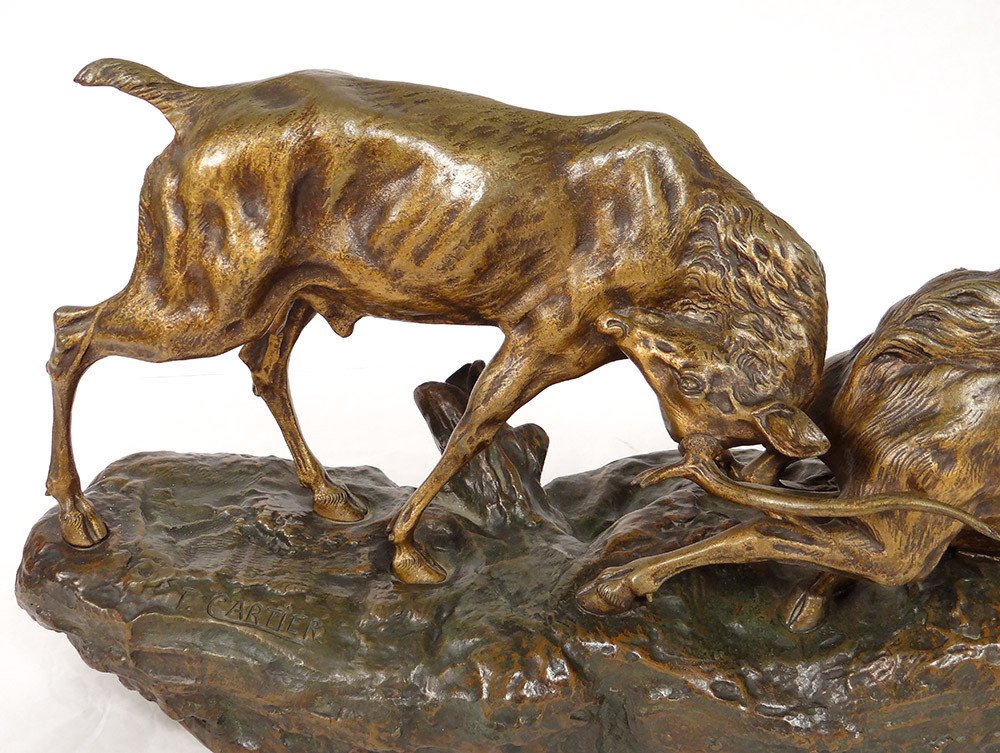 Bronze Sculpture Thomas François Cartier Animal Deer Fight 20th Century-photo-2