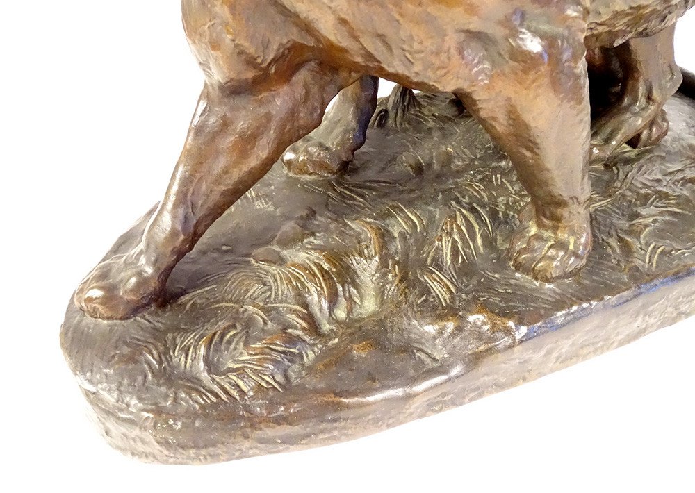 Large Charles Valton Bronze Sculpture Two Lionesses Animal Sculptor 19th-photo-3
