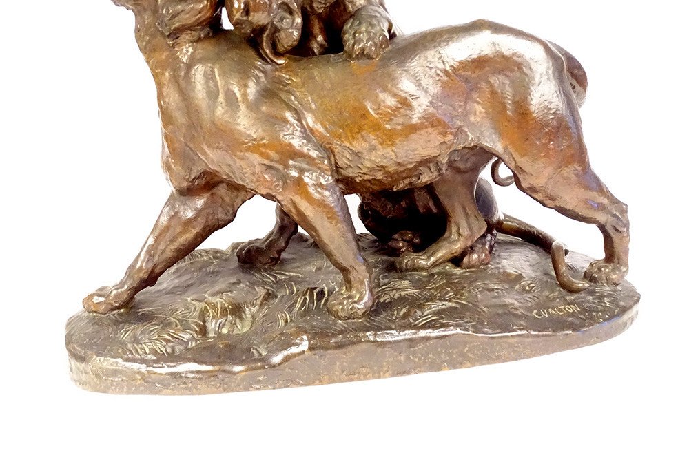 Large Charles Valton Bronze Sculpture Two Lionesses Animal Sculptor 19th-photo-2