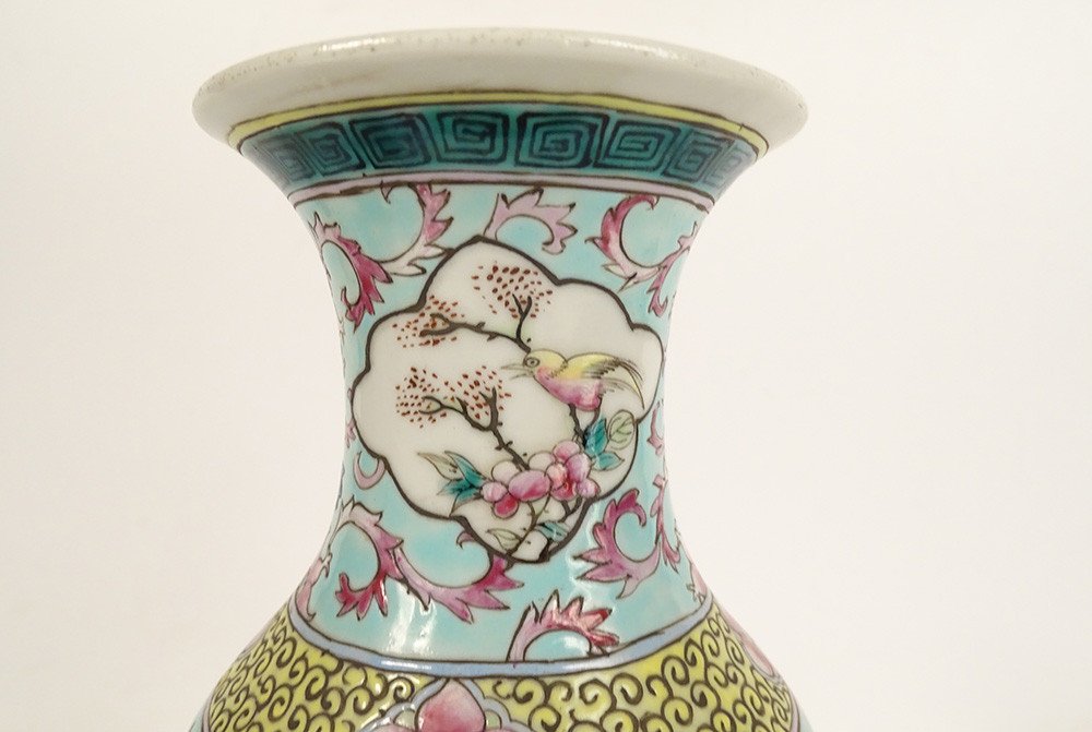 Pair Of Chinese Porcelain Baluster Vases Birds Flowers Double Circle 19th Century-photo-4