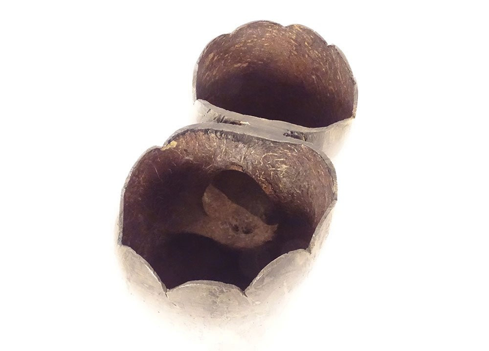 Coco Fesse Sculpture Graine Cocotier de Mer Seychelles Collection-photo-1