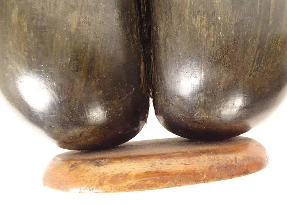 Coco Fesse Sculpture Graine Cocotier de Mer Seychelles Collection-photo-3