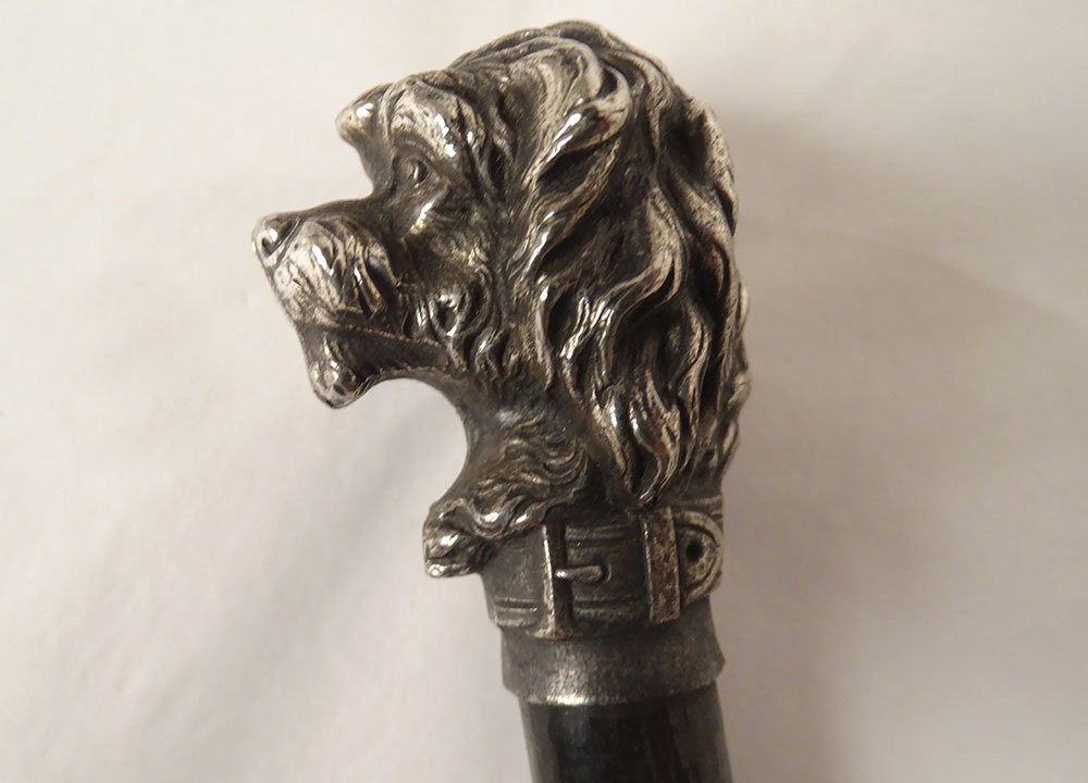 Antique Cane With Silver-plated Metal Handle, Poodle Dog Head, Wooden Shaft, 19th Century-photo-3