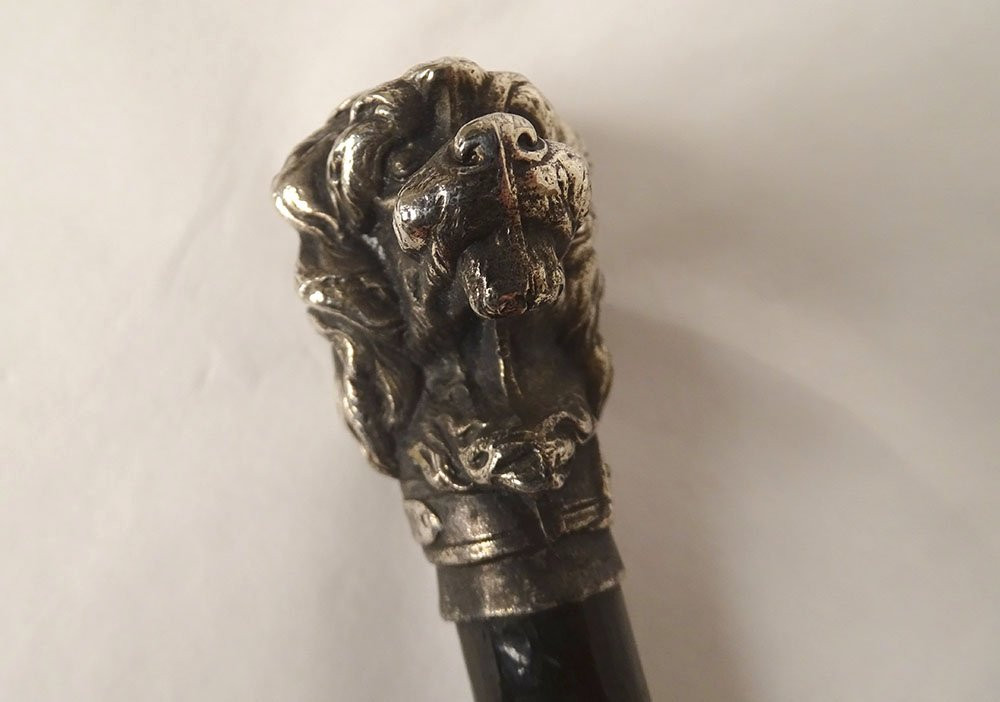 Antique Cane With Silver-plated Metal Handle, Poodle Dog Head, Wooden Shaft, 19th Century-photo-4
