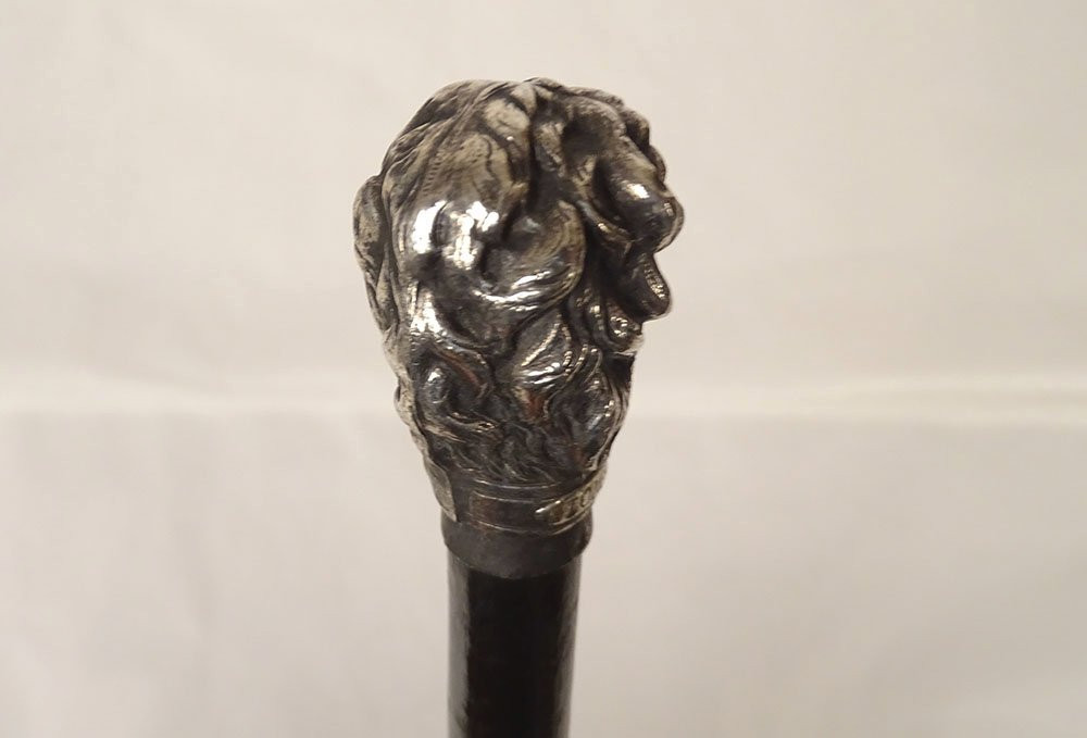 Antique Cane With Silver-plated Metal Handle, Poodle Dog Head, Wooden Shaft, 19th Century-photo-6