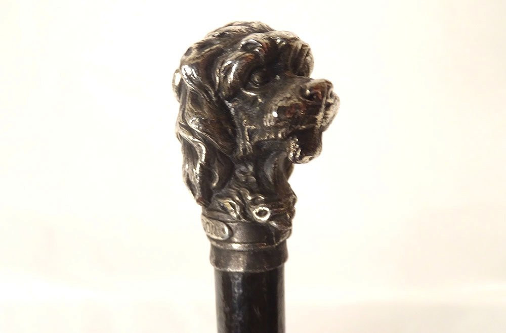 Antique Cane With Silver-plated Metal Handle, Poodle Dog Head, Wooden Shaft, 19th Century-photo-7
