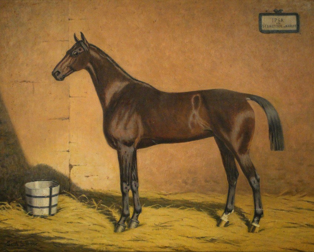 HST cheval de course Ipsa Sébastopole Harley Paul Le More XIXe-photo-2