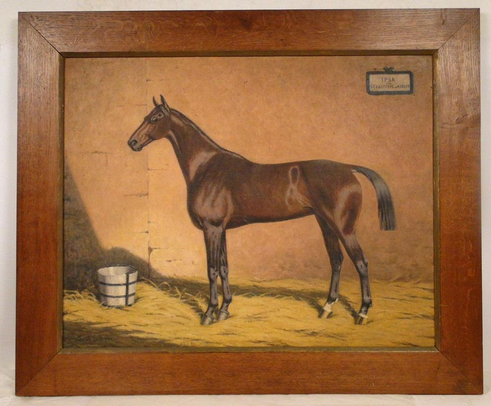 HST cheval de course Ipsa Sébastopole Harley Paul Le More XIXe
