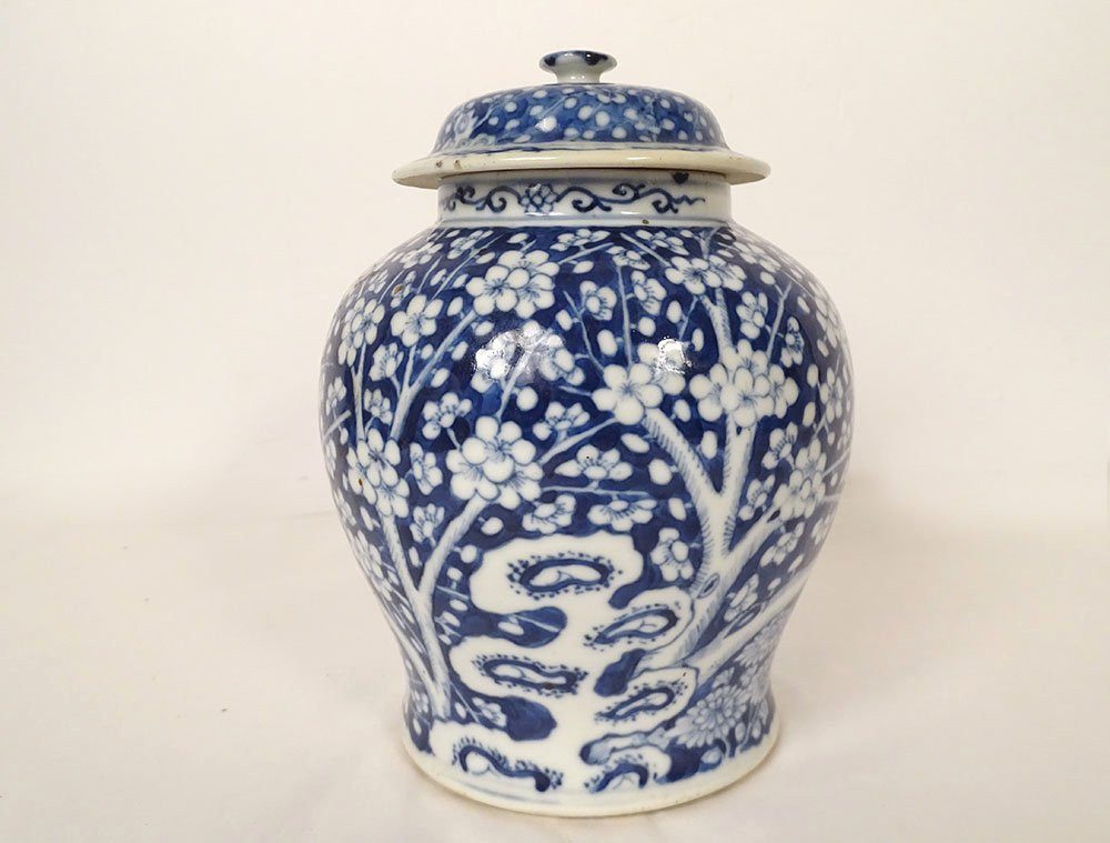 Small Covered Ginger Jar With Blue And White Chinese Porcelain, Prunus Flowers, 19th Century-photo-2