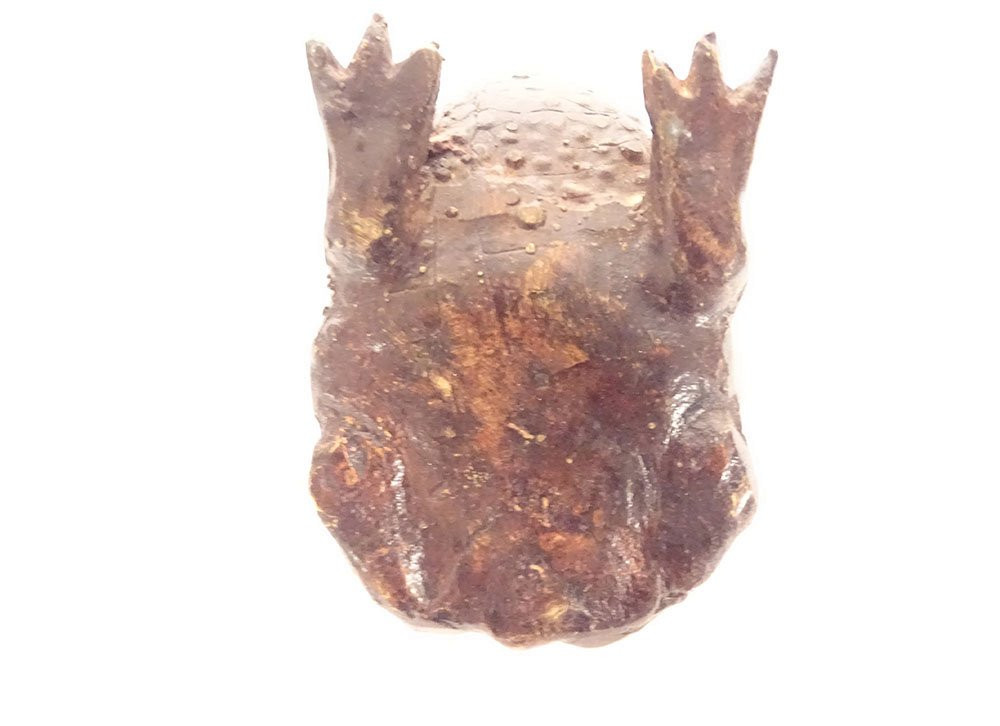Okimono statuette poids lettré calligraphie bronze crapaud Japon XIXème-photo-3