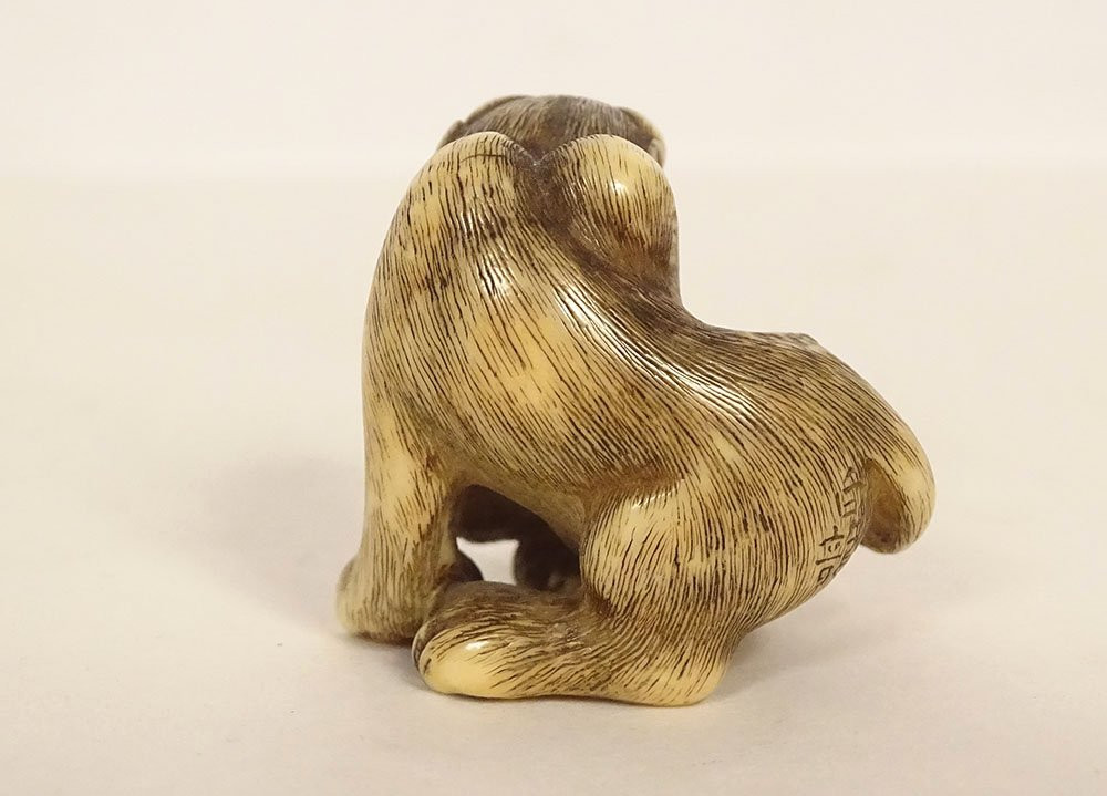 Netsuke ivoire sculpté tigre signé Unsho Hakuryu Japon Edo XIXème siècle-photo-3