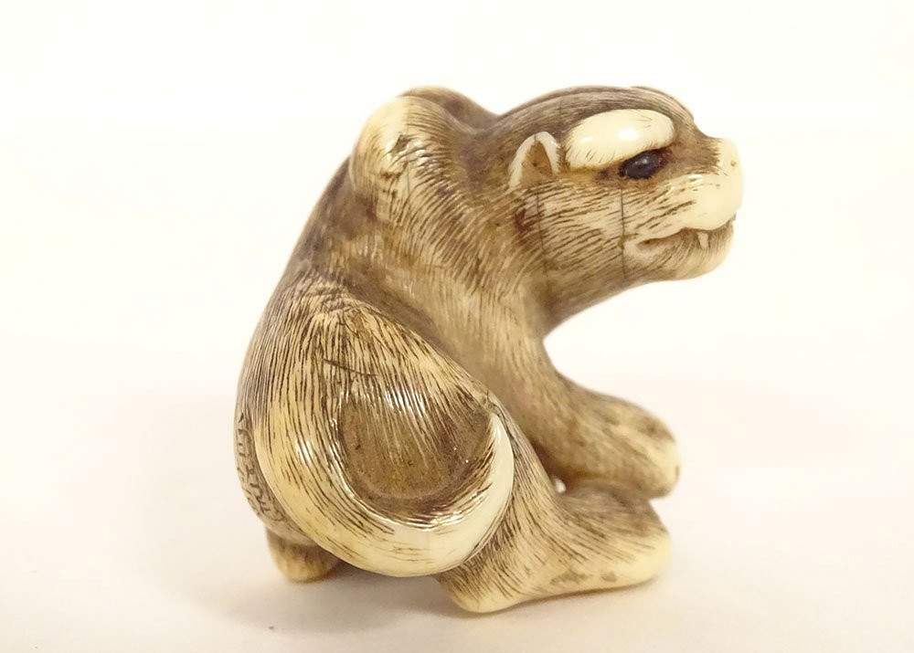 Netsuke ivoire sculpté tigre signé Unsho Hakuryu Japon Edo XIXème siècle-photo-4