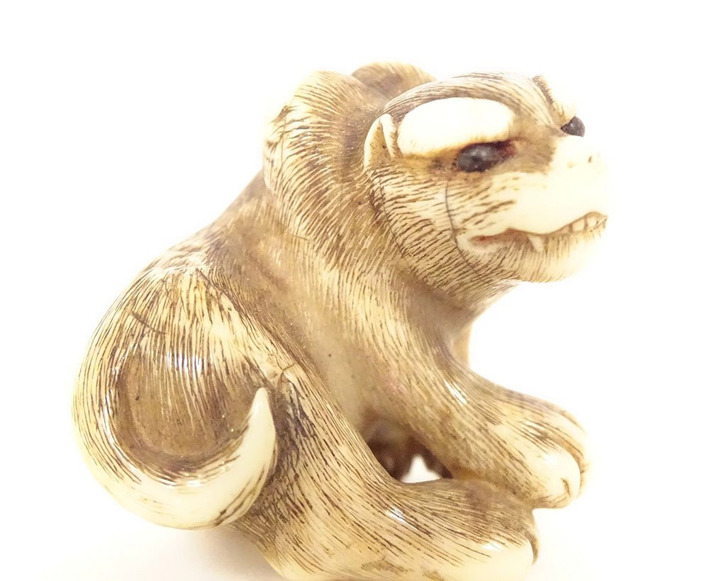 Netsuke ivoire sculpté tigre signé Unsho Hakuryu Japon Edo XIXème siècle-photo-1
