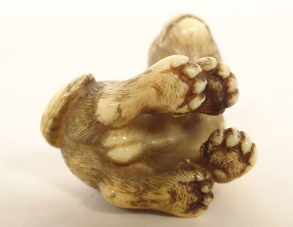 Netsuke ivoire sculpté tigre signé Unsho Hakuryu Japon Edo XIXème siècle-photo-2