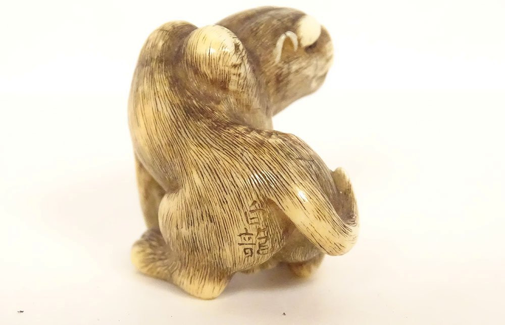 Netsuke ivoire sculpté tigre signé Unsho Hakuryu Japon Edo XIXème siècle-photo-3