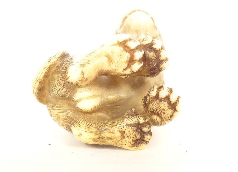 Netsuke ivoire sculpté tigre signé Unsho Hakuryu Japon Edo XIXème siècle-photo-4