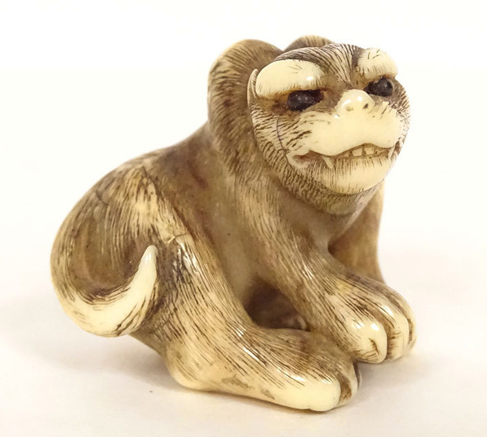 Netsuke ivoire sculpté tigre signé Unsho Hakuryu Japon Edo XIXème siècle