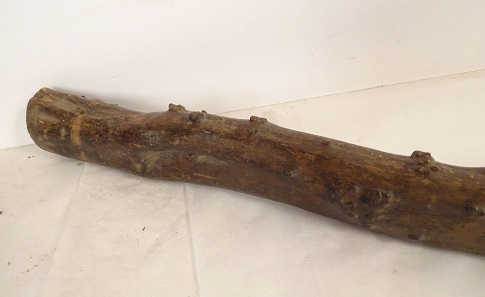 Canne ancienne bois sculpté monoxyle tête lion personnage Art Populaire 19è-photo-5