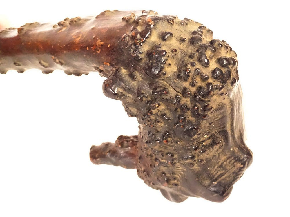 Canne ancienne bois sculpté monoxyle tête lion personnage Art Populaire 19è-photo-7