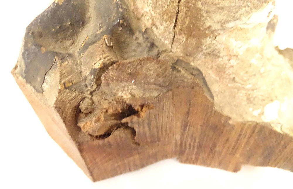 Sculpture bois polychrome tête angelot ange chérubin retable XVIIème siècle-photo-2