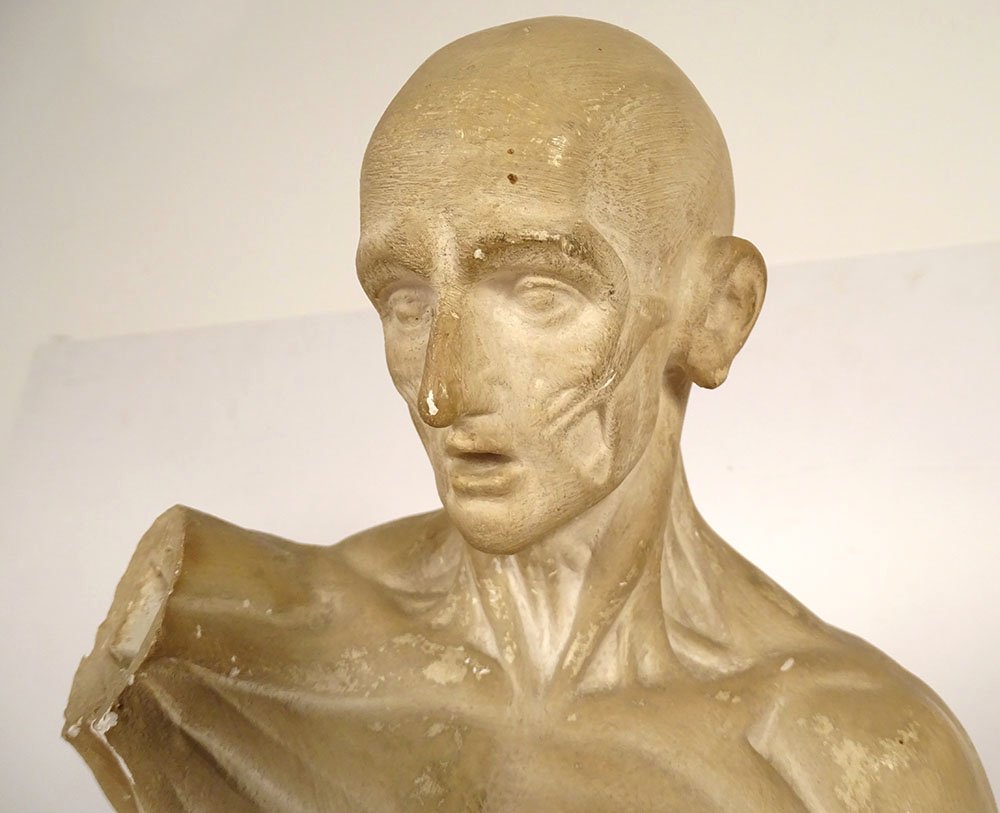 Grande sculpture plâtre atelier écorché Houdon homme nu anatomie XIXème-photo-3