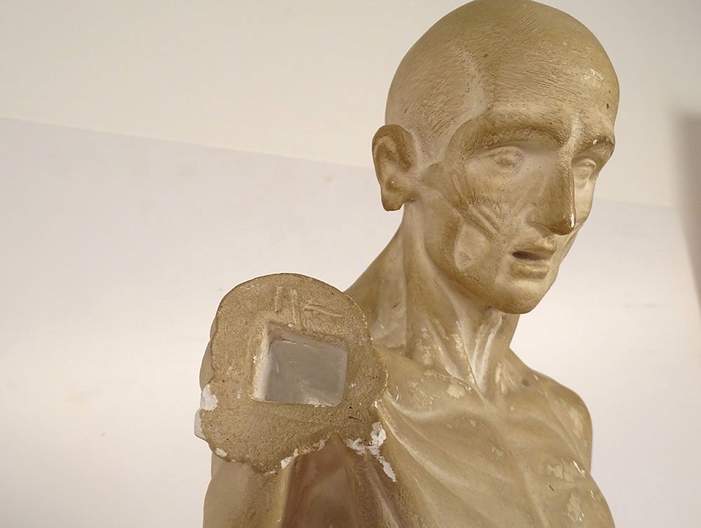 Grande sculpture plâtre atelier écorché Houdon homme nu anatomie XIXème-photo-4