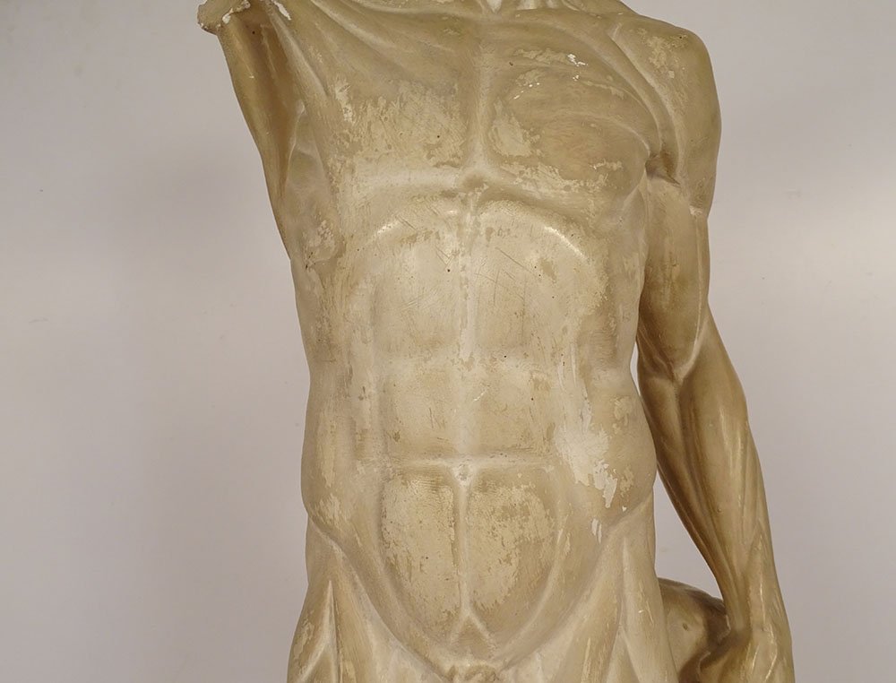 Grande sculpture plâtre atelier écorché Houdon homme nu anatomie XIXème-photo-1