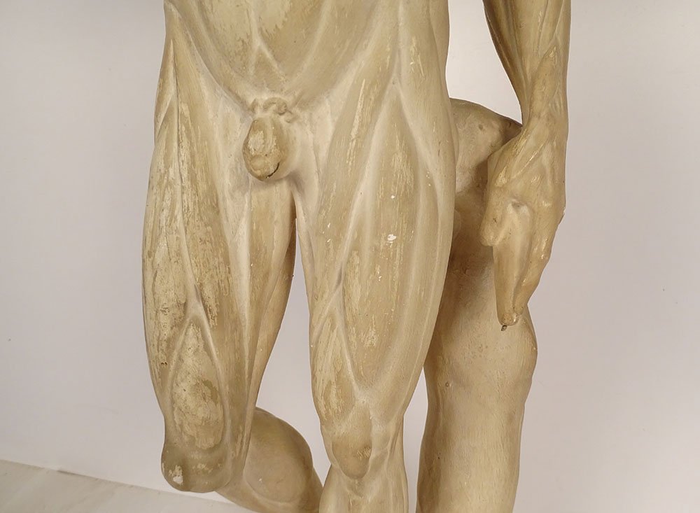 Grande sculpture plâtre atelier écorché Houdon homme nu anatomie XIXème-photo-2