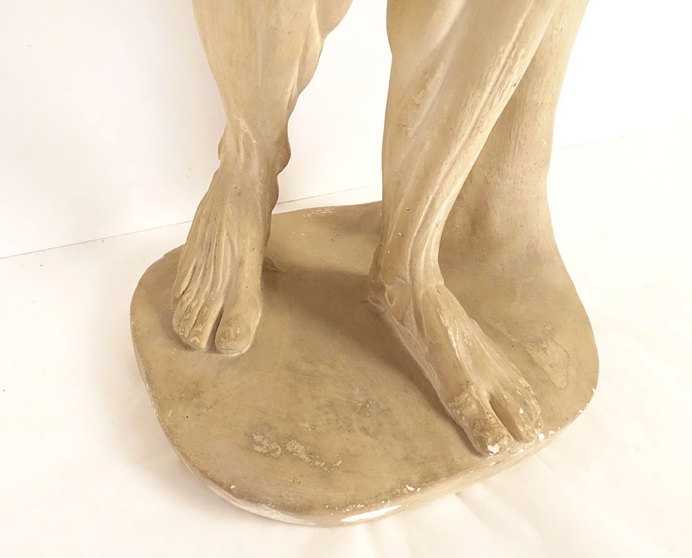 Grande sculpture plâtre atelier écorché Houdon homme nu anatomie XIXème-photo-4
