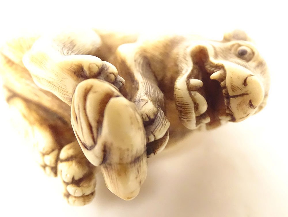 Carved Ivory Netsuke Signed "okakoto," Depicting A Hungry Wolf, Japan, Kyoto, Edo Period, Late 18th Century-photo-5