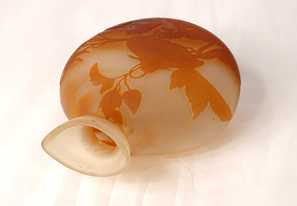 Vase Gourd Glass Paste Emile Gallé Flowers Bindweed Art Nouveau XIXth-photo-6