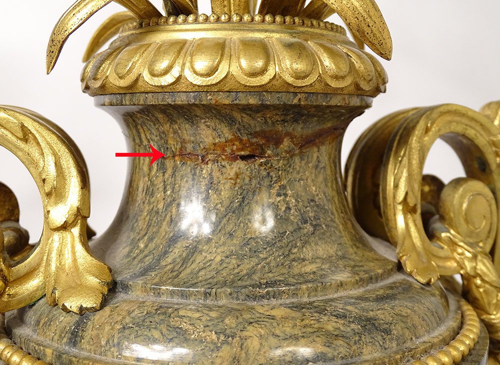 Paire Vases Balustre Lampes Marbre Bronze Doré Fleurs Napoléon III XIXème-photo-8