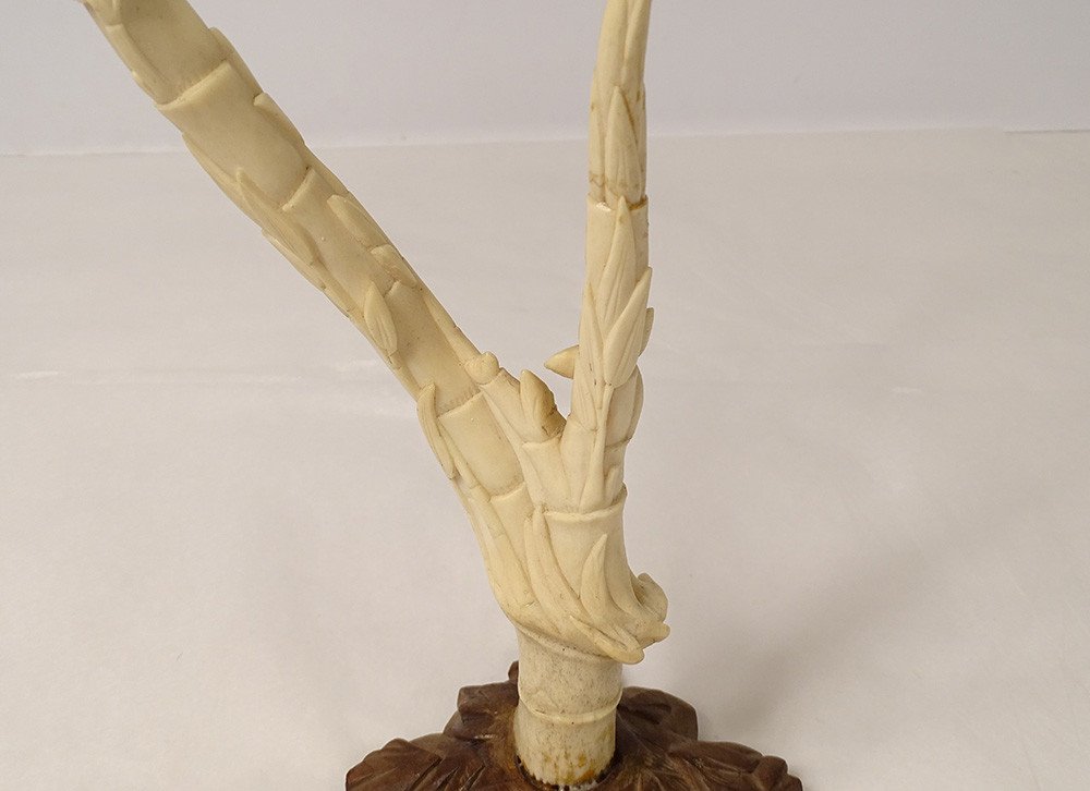 Sculpture Corne de Cerf Japon Rat Loir Feuillage Bambou XIXème Siècle-photo-5