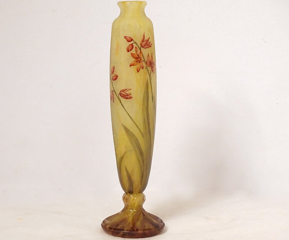 Vase Piedouche Pâte de Verre Daum Nancy Fleurs Lys Lis Art Nouveau XIXème-photo-2