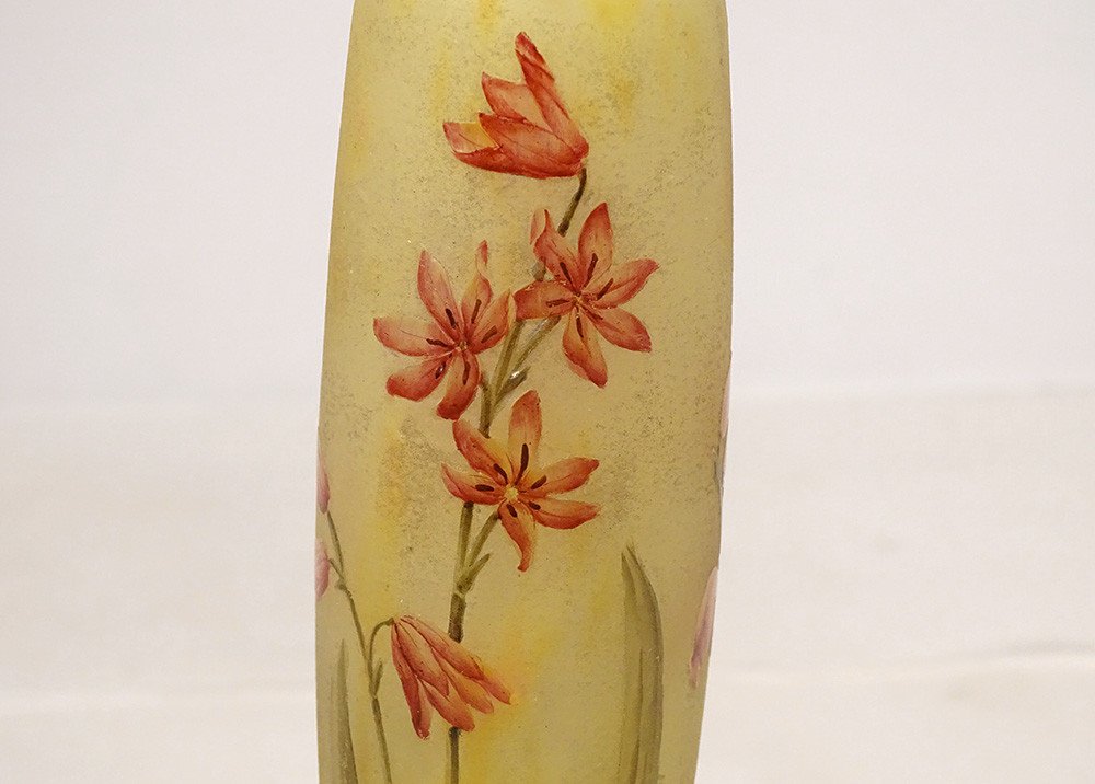 Vase Piedouche Pâte de Verre Daum Nancy Fleurs Lys Lis Art Nouveau XIXème-photo-1