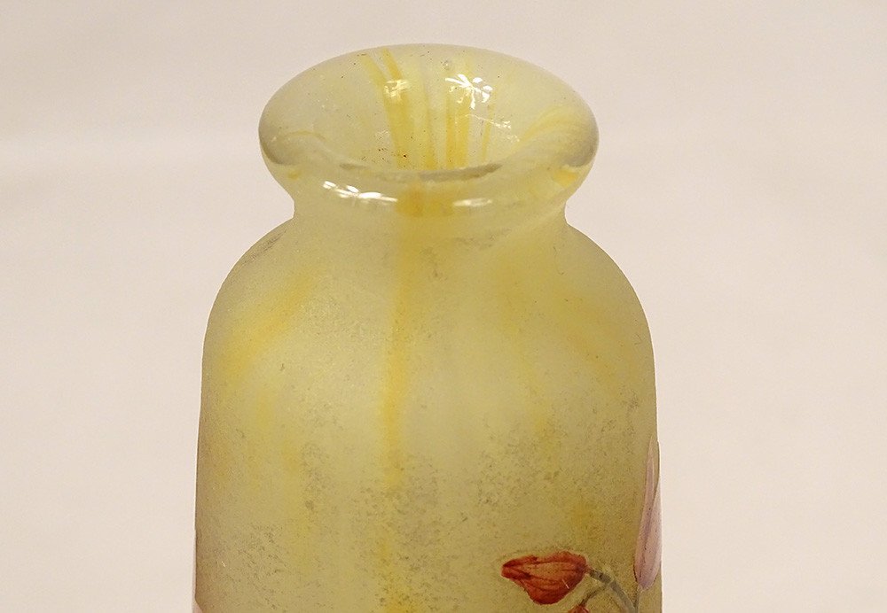 Vase Piedouche Pâte de Verre Daum Nancy Fleurs Lys Lis Art Nouveau XIXème-photo-7