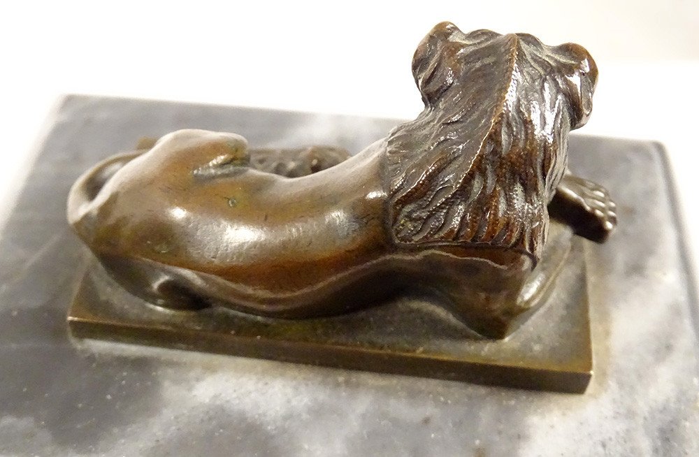 Pair Sculptures Bronze Paperweight Lions Lying Gray Marble Eighteenth-photo-4