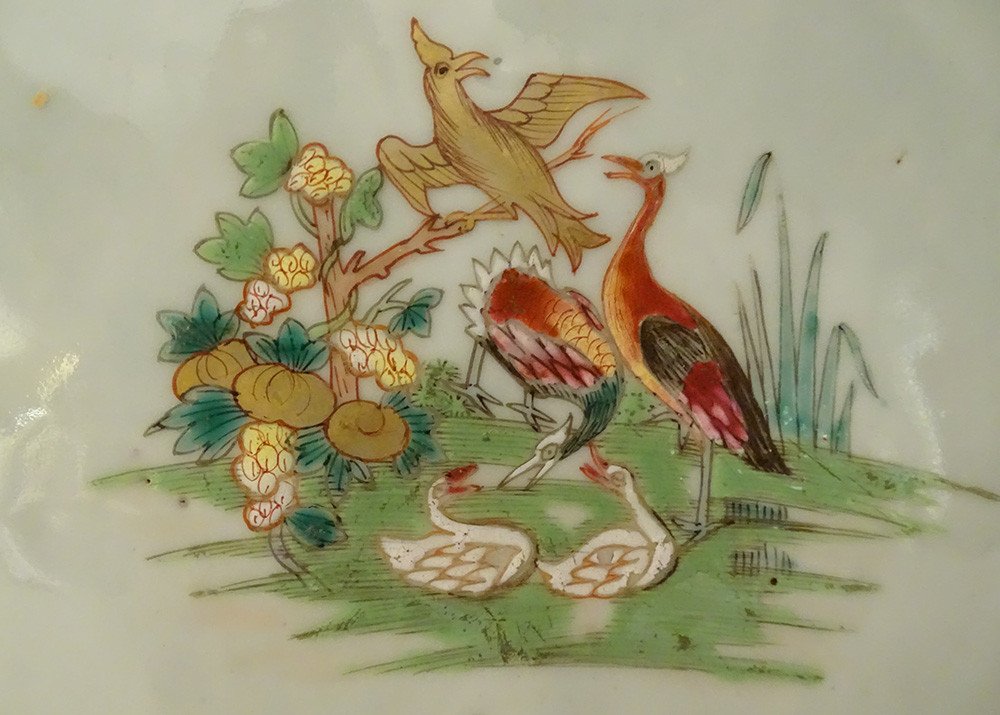 Paire Plats Porcelaine Compagnie Des Indes Oiseaux Faisans Fleurs XVIIIème-photo-1