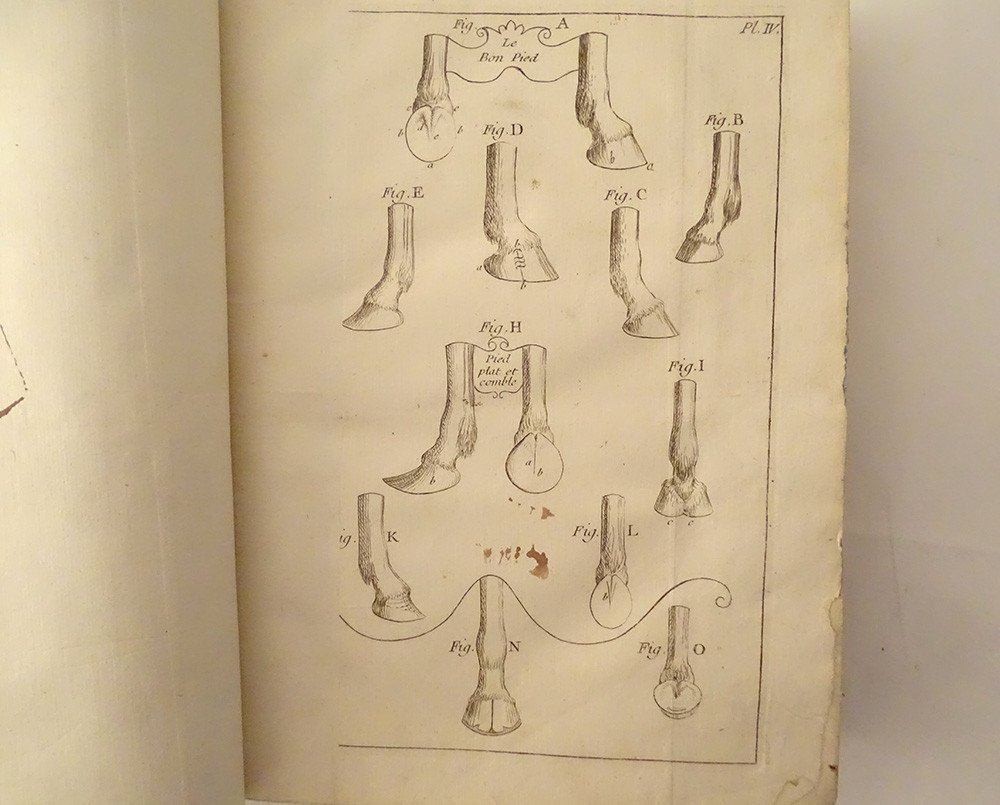 Livre Nouveau Parfait Maréchal Chevaux De Garsault Paris 1755 3è éd. XVIIIè-photo-3