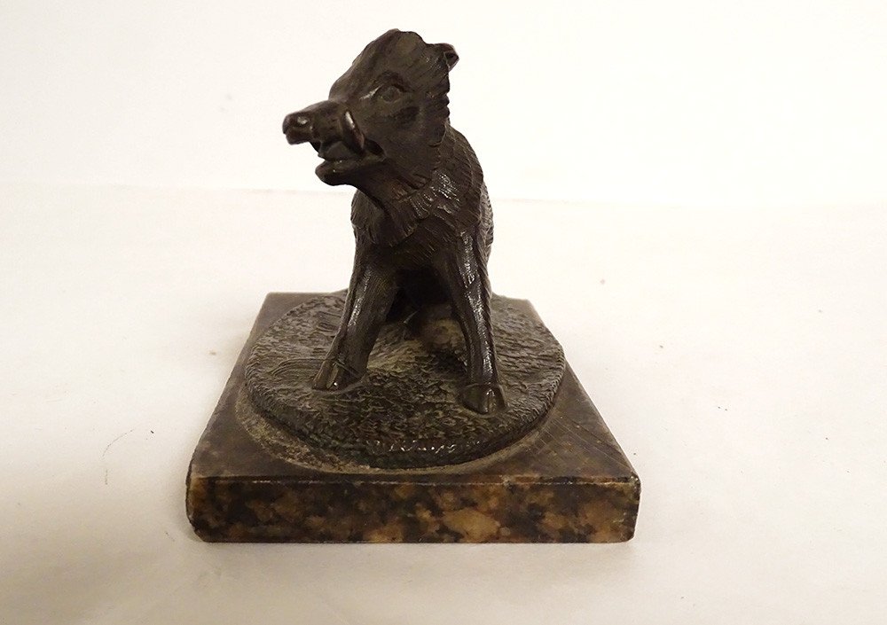 Petite Sculpture Presse-papier Bronze Sanglier Marbre XIXème Siècle-photo-3