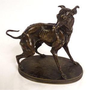 Small Bronze Sculpture Pierre-jules Mène Dog Greyhound Plock 1854 Nineteenth