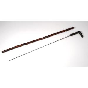 Sword Cane System Pommel Horn Damascened Blade Spiny Wood Shaft 19th Century