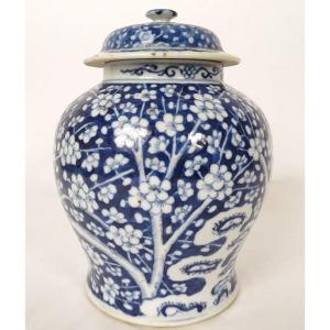 Small Covered Ginger Jar With Blue And White Chinese Porcelain, Prunus Flowers, 19th Century