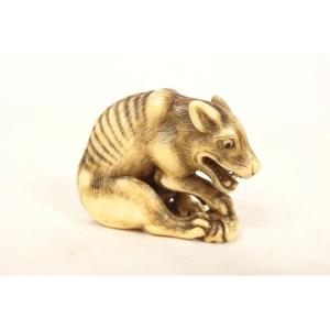 Carved Ivory Netsuke Signed "okakoto," Depicting A Hungry Wolf, Japan, Kyoto, Edo Period, Late 18th Century