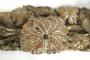 1839364-6ad1e7bc0deeb.jpg