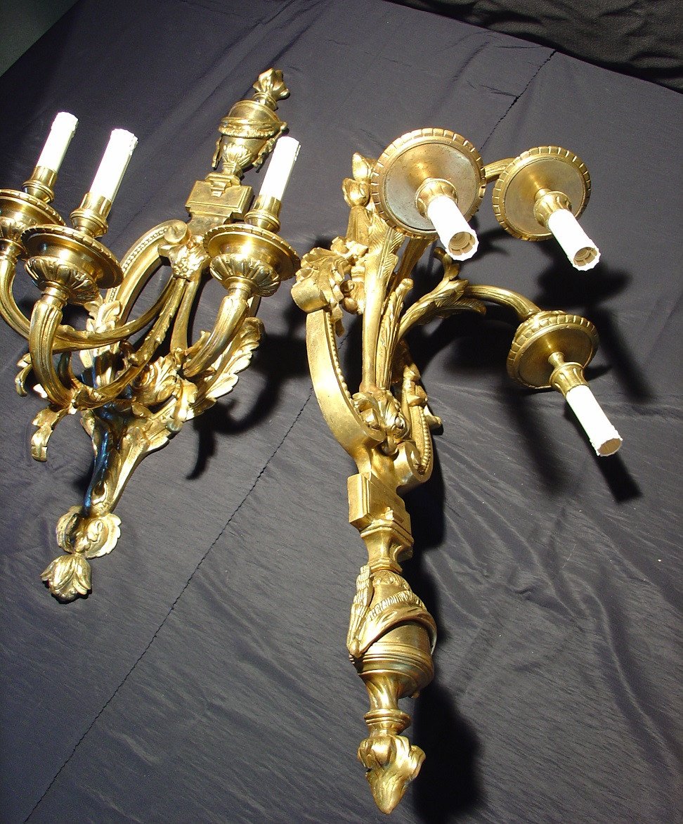 Pair Of Louis XVI Style  Sconces -photo-5