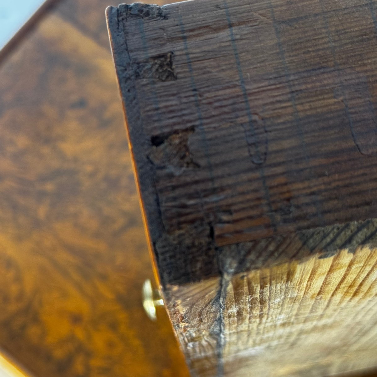 Petite table d'appoint Biedermeier, loupe de noyer, vers 1825-photo-1
