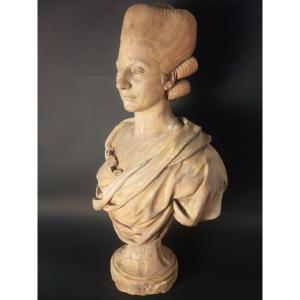 Terracotta Bust 