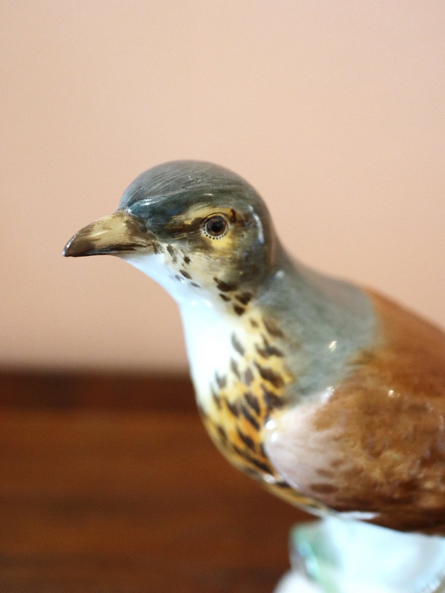 Meissen Porcelain Songbird -photo-6