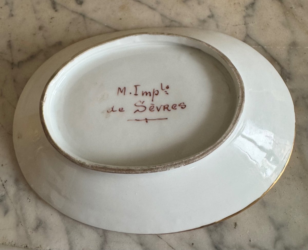 Tasse Et Sous Tasse En Porcelaine Decor De  Cygne,  Signature De Sevres XIX Siecle -photo-2